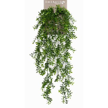 Kunst Hängepflanze Buchsbaum ERIO auf Steckstab, 75cm Kunst Hängepflanze Buchsbaum ERIO auf Steckstab, 75cm