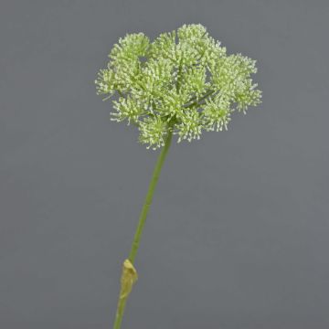 Kunstblume Bärenklau EVERALDO, weiß, 80cm, Ø16cm