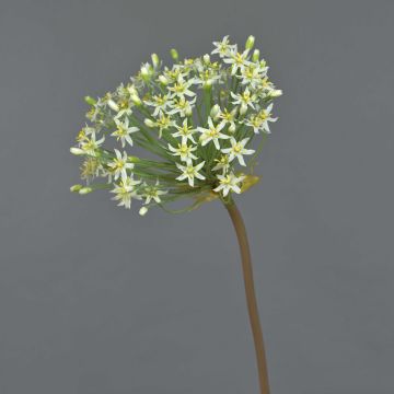 Allium Kunstblume BRAIS, weiß, 90cm, Ø24cm