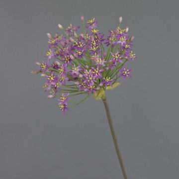 Allium Kunstblume BRAIS, violett, 90cm, Ø24cm