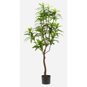 Kunstbaum Dracaena Reflexa Jamaica OSAKA, grün, 130cm Kunstbaum Dracaena Reflexa Jamaica OSAKA, grün, 130cm