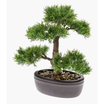 Bonsai Zeder künstlich BERTOLT in Schale, 30cm