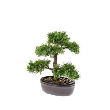 Bonsai Zeder künstlich BERTOLT in Schale, 30cm
