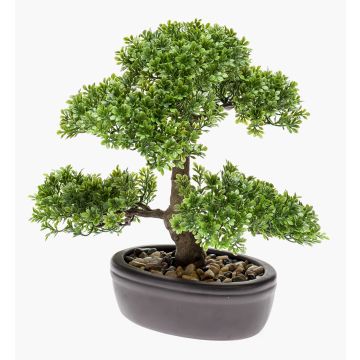 Kunstpflanze Bonsai Ficus HESPER in Schale, 30cm