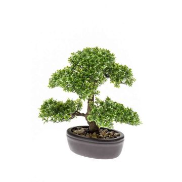 Kunstpflanze Bonsai Ficus HESPER in Schale, 30cm