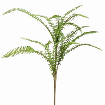 Künstlicher Zweig Boston Farn AMPELIO, grün, 60cm