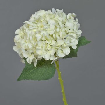 Hortensie Kunstblume EGIA, creme, 50cm, Ø16cm