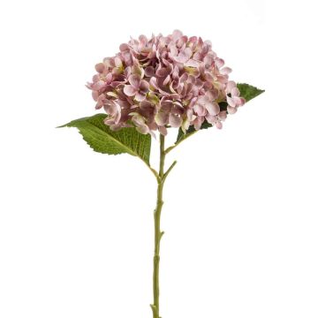 Hortensie Kunstblume EGIA, rosa, 50cm, Ø16cm