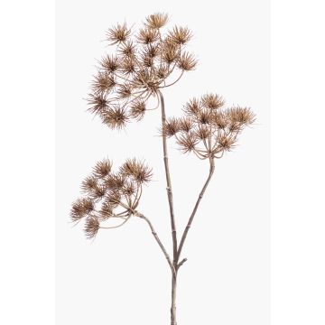 Große Kunstblume Bärenklau BELMIRO, braun, 100cm, Ø13-15cm