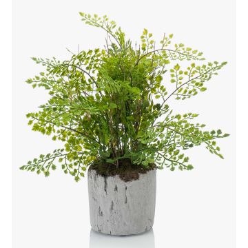 Kunstfarn Frauenhaarfarn SANTINA im Zementtopf, grün, 30cm