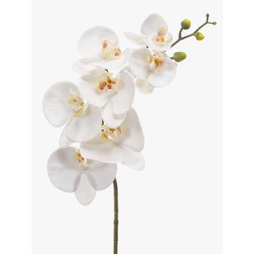Künstlicher Phalaenopsis Orchideenzweig NEITH, weiß, 75cm, Ø7-10,5cm