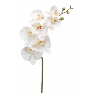 Künstlicher Phalaenopsis Orchideenzweig NEITH, weiß, 75cm, Ø7-10,5cm