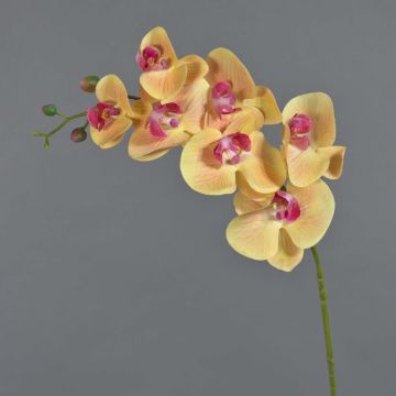 Künstlicher Phalaenopsis Orchideenzweig NEITH, orange-pink, 75cm, Ø7-10,5cm
