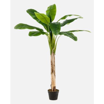 Bananenbaum künstlich BAGHEERA, 150cm