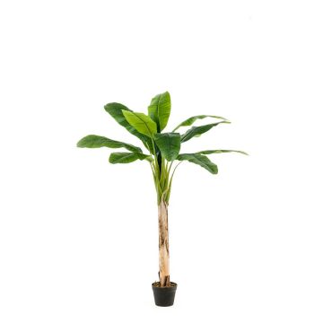 Bananenbaum künstlich BAGHEERA, 150cm