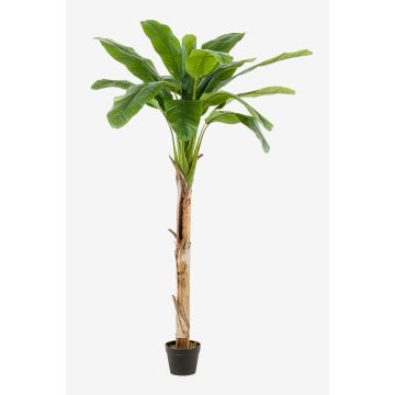 Bananenbaum künstlich BAGHEERA, 180cm