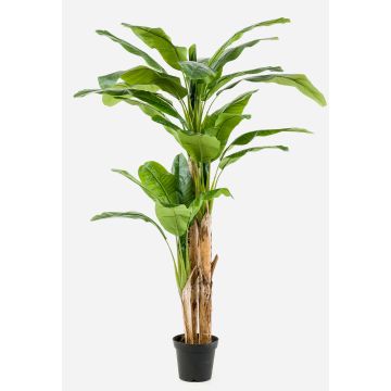 Bananenbaum künstlich Trio BAGHEERA, 210cm