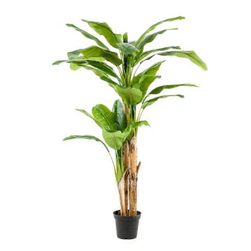 Bananenbaum künstlich Trio BAGHEERA, 210cm Bananenbaum künstlich Trio BAGHEERA, 210cm