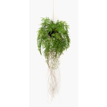 Kunstfarn Boston Farn Blumenampel NILO, Erdball, Wurzeln, 70cm, Ø35cm