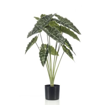 Künstliche Pflanze Alocasia Sanderiana FIORELLA, grün, 80cm