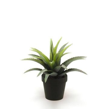 Kunstpflanze Agave decipiens SEDA, grün, 20cm, Ø25cm