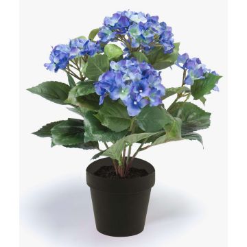 Kunstblume Hortensie LAIDA, blau, 35cm, Ø7-10cm Kunstblume Hortensie LAIDA, blau, 35cm, Ø7-10cm
