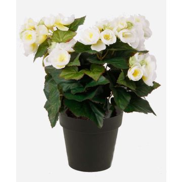 Künstliche Blume Begonie DOBRADA, creme, 30cm, Ø8-10cm Künstliche Blume Begonie DOBRADA, creme, 30cm, Ø8-10cm