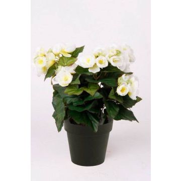 Künstliche Blume Begonie DOBRADA, creme, 30cm, Ø8-10cm