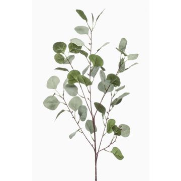 Künstlicher Eukalyptus Zweig COLTON, grün-grau, 85cm