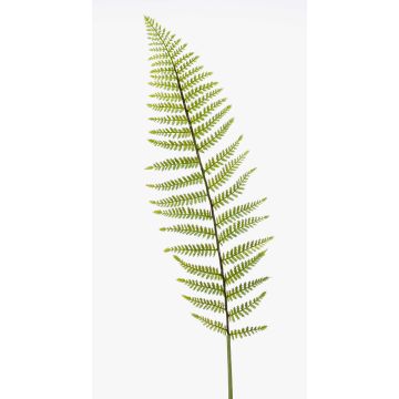 Deko Blatt Boston Farn CODY, grün, 100cm