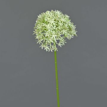 Kunstblume Allium ARNAU, creme-grün, 60cm, Ø10cm