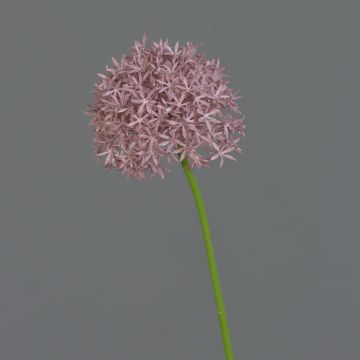 Kunstblume Allium ARNAU, violett, 60cm, Ø10cm
