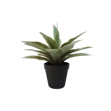 Kunst Sukkulente Drachenbaum-Agave DESIREE, grün, 20cm, Ø25cm