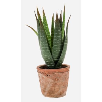 Künstliche Sukkulente Aloe Variegata MARTINEZ im Terracottatopf, grün, 20cm, Ø17cm
