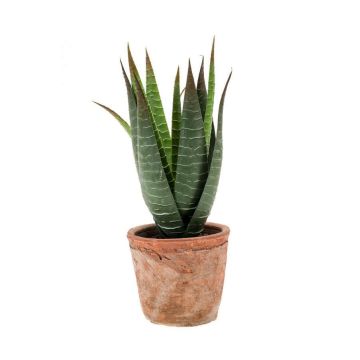 Künstliche Sukkulente Aloe Variegata MARTINEZ im Terracottatopf, grün, 20cm, Ø17cm