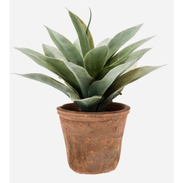 Kunst Sukkulente Drachenbaum-Agave DESIREE im Terracotta Topf, grün, 20cm, Ø25cm