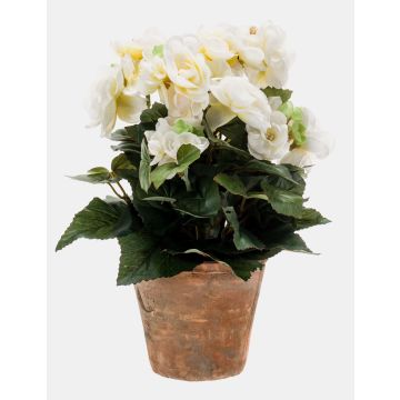 Künstliche Blume Begonie DOBRADA im Terracottatopf, creme, 25cm, Ø8-10cm