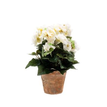 Künstliche Blume Begonie DOBRADA im Terracottatopf, creme, 25cm, Ø8-10cm