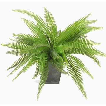 Kunstfarn Boston Farn REMY im Dekotopf, grün, 30cm
