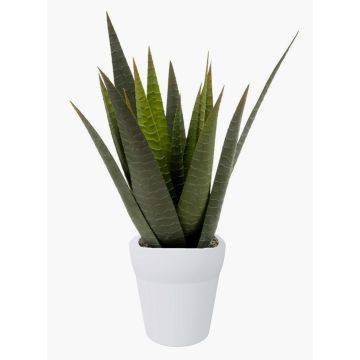 Künstliche Sukkulente Aloe Variegata MARTINEZ, Keramiktopf, grün, 30cm, Ø17cm