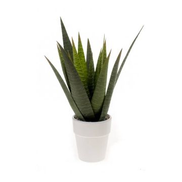 Künstliche Sukkulente Aloe Variegata MARTINEZ, Keramiktopf, grün, 30cm, Ø17cm
