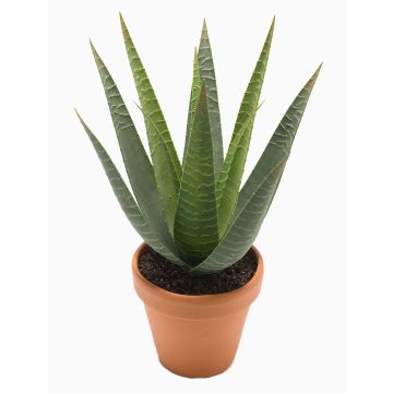 Künstliche Sukkulente Aloe Variegata MARTINEZ, Tontopf, grün, 30cm, Ø17cm