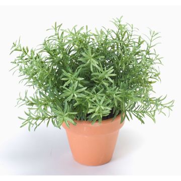 Kräuter künstlich Rosmarin JOSHUA im Tontopf, grün, 23cm, Ø17cm