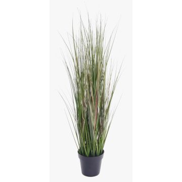 Kunstpflanze Gras Fuchsschwanzgras SAMMI, grün, 65cm