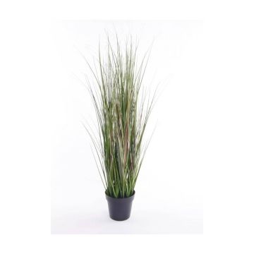 Kunstpflanze Gras Fuchsschwanzgras SAMMI, grün, 65cm