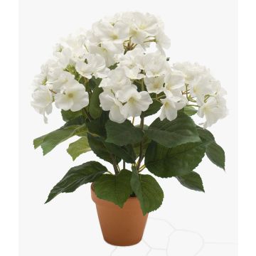 Kunstpflanze Hortensie JONE im Tontopf, creme, 40cm Kunstpflanze Hortensie JONE im Tontopf, creme, 40cm
