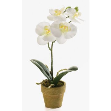 Fake Phalaenopsis Orchidee SETH im Dekotopf, creme, 25cm