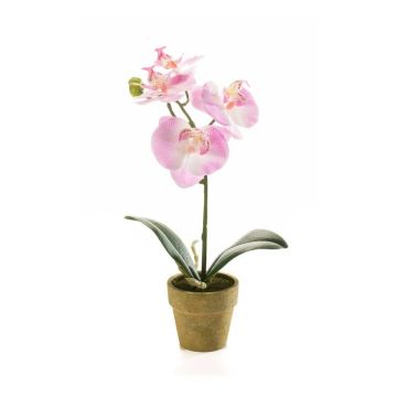 Fake Phalaenopsis Orchidee SETH im Dekotopf, rosa, 25cm Fake Phalaenopsis Orchidee SETH im Dekotopf, rosa, 25cm