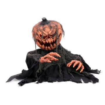 Halloween Dekoration Kürbis Zombie ROVIGO, Soundfunktion, LEDs, 50cm Halloween Dekoration Kürbis Zombie ROVIGO, Soundfunktion, LEDs, 50cm