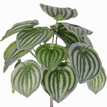 Kunstpflanze Zwergpfeffer ALARA auf Steckstab, grün, 25cm Kunstpflanze Zwergpfeffer ALARA auf Steckstab, grün, 25cm